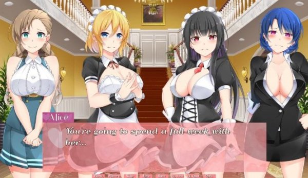 Himeko Maid — porn game