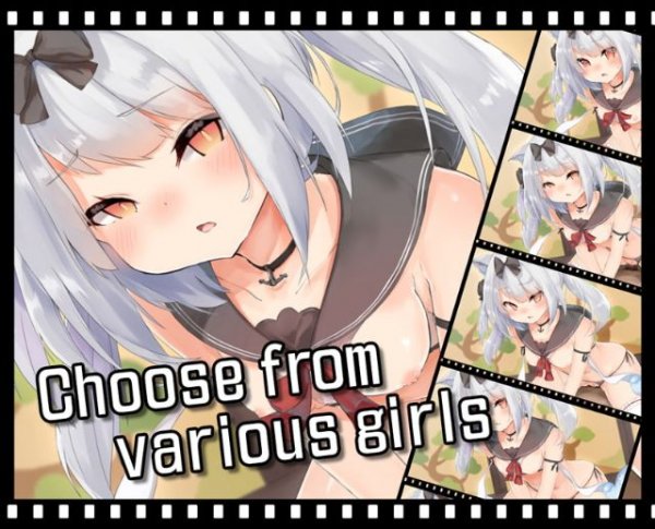 Ecchi with Kemonomimi Girls — sex game
